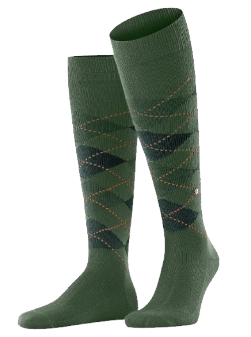 BURLINGTON 21713 PRESTON COL 7045 VERDE